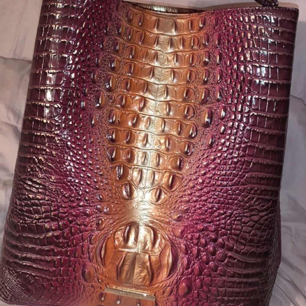 Large multi color Brahmin - Picture 5 of 7